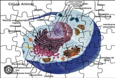 Celular amimal jigsaw puzzle