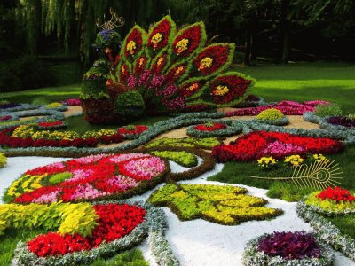 jardim jigsaw puzzle