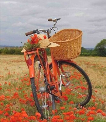 bicicleta jigsaw puzzle