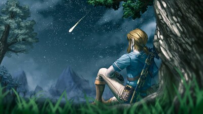 Link Zelda #videogames