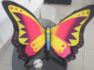 mariposa jigsaw puzzle