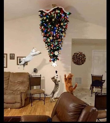 gato jigsaw puzzle