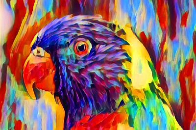 LORIKEET PEINTURE