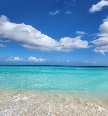 Mandala playa Cancun jigsaw puzzle