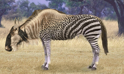 פאזל של Wildabeest Zebra Bison