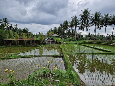 Ubud