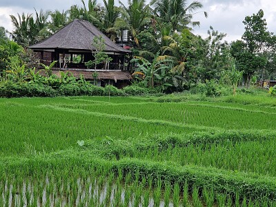 פאזל של Ubud