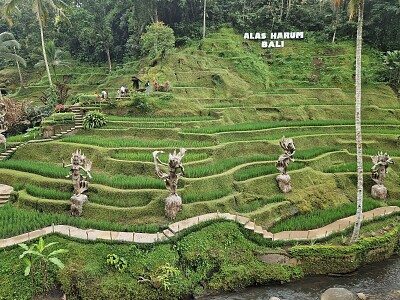 Park Alas Harum Bali jigsaw puzzle