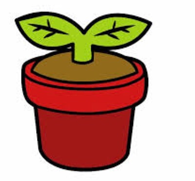 Planta