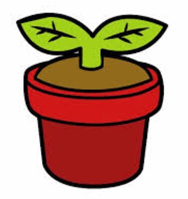Planta