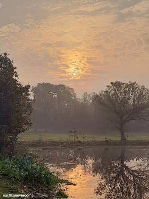 Reflejo