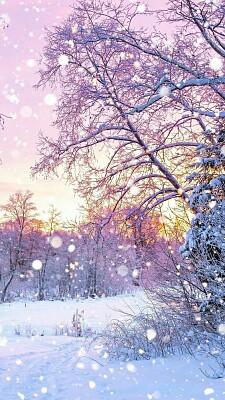 INVIERNO jigsaw puzzle