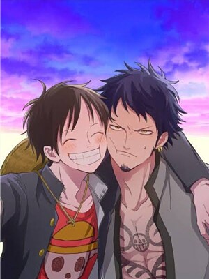 Law x Luffy