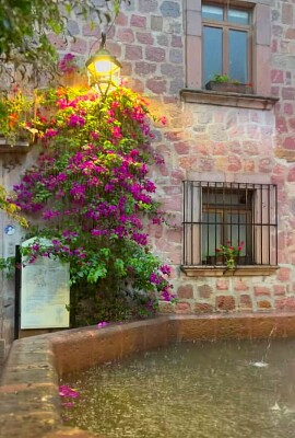 lluvia jigsaw puzzle