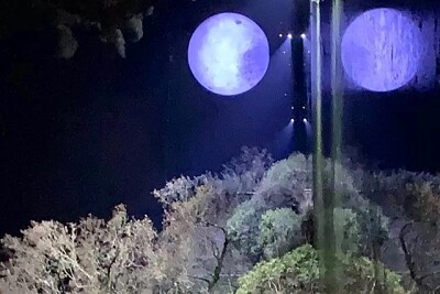 פאזל של moooon