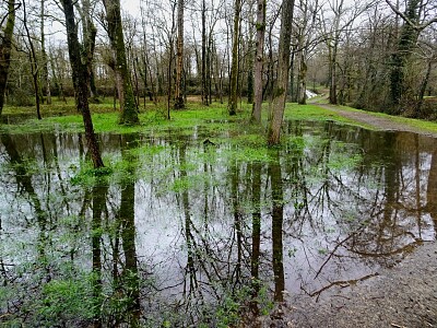 Le Lac d 'Halco Hagetmau jigsaw puzzle