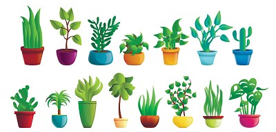 plantas