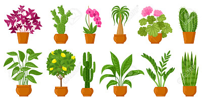 פאזל של plantas 2