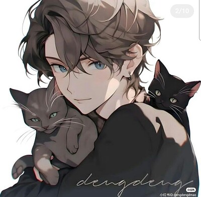 chico con gatitos