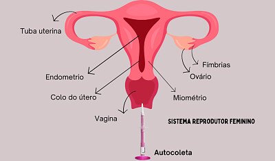 Jogo Congresso
