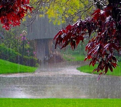 פאזל של lluvia