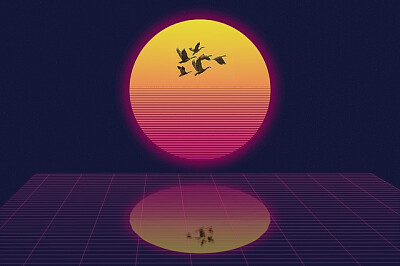Toy