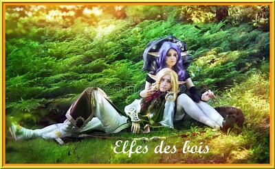 פאזל של Elfes des Bois
