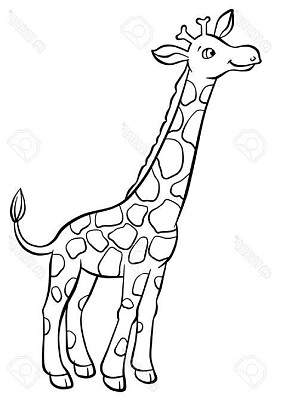 פאזל של girafa
