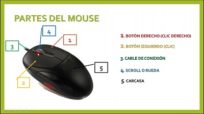פאזל של Partes del mouse