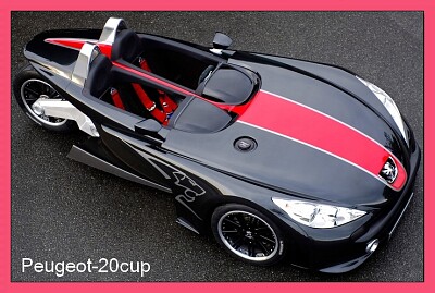 Peugeot 20cup