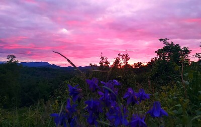 פאזל של Coucher du Soleil