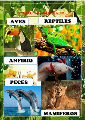 animales vertebrados