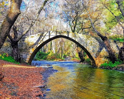 פאזל של Vieux Pont dans la forêt