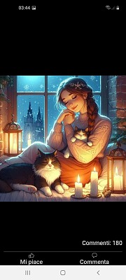 gatto
