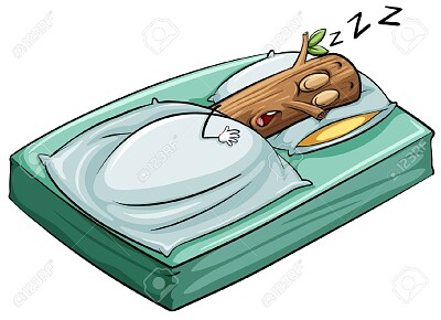 sleep like a log
