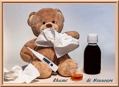 Rhume de Nounours