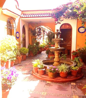 jardin