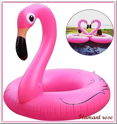 Flamant rose