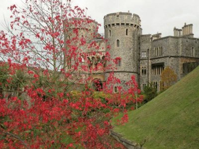 Windsor Castle 2 jigsaw puzzle