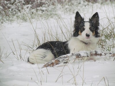 Milaye aime la neige
