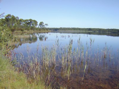 פאזל של lac d ' hostens