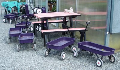 Purple Wagons