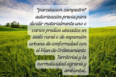 campo