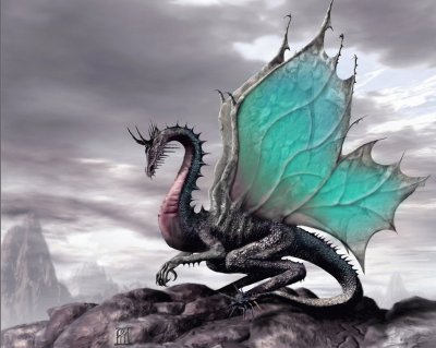 פאזל של dragon