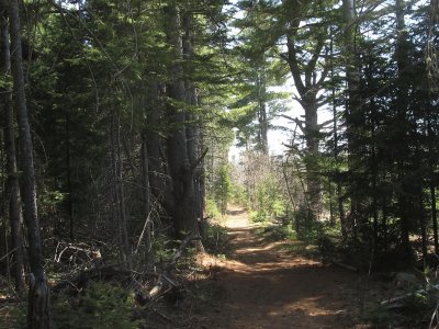I love this part of the path
