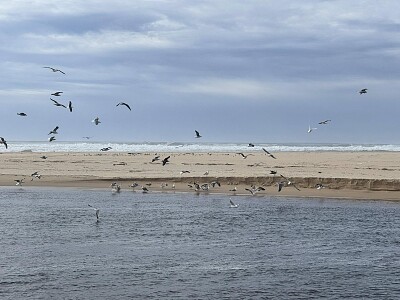 La plage Landes