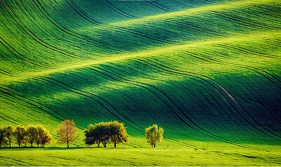 Campo Verde