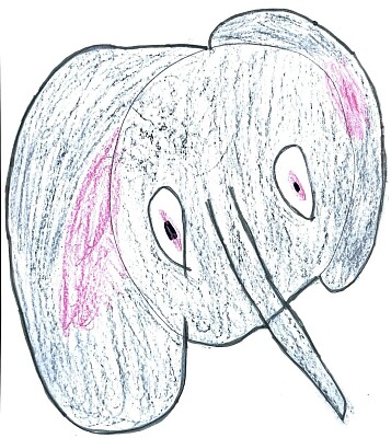 Il puzzle dell 'elefante
