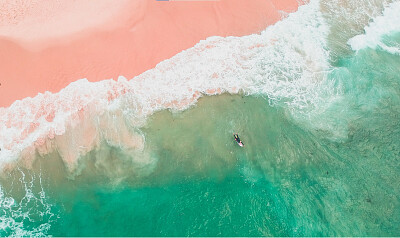 Surfista