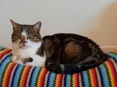 Chat 004